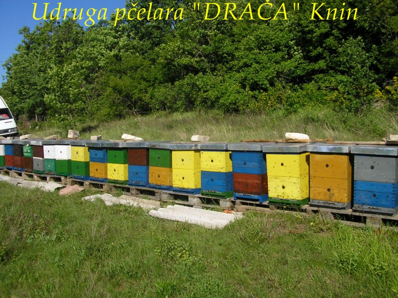 UP_Draca_Knin (6)